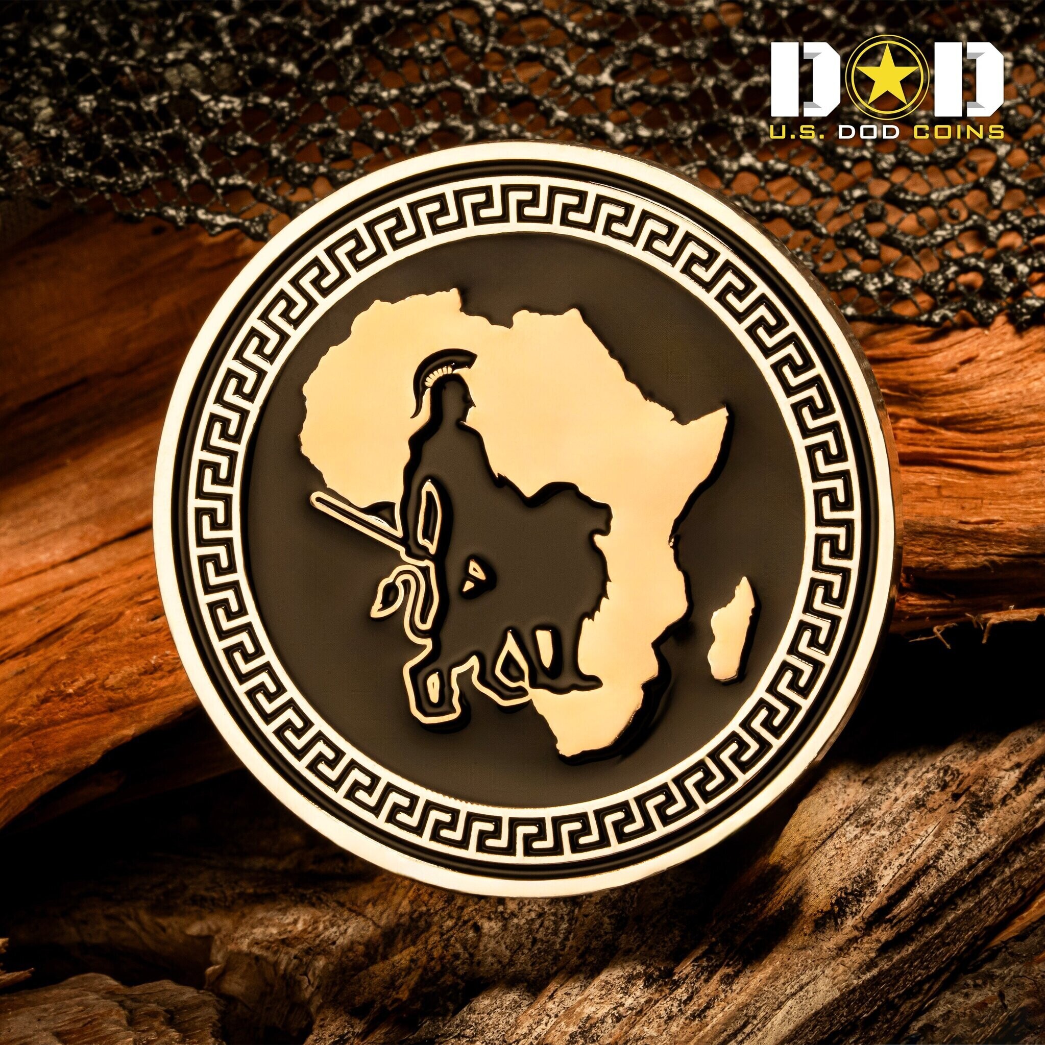 Custom U.S. Army challenge coin example