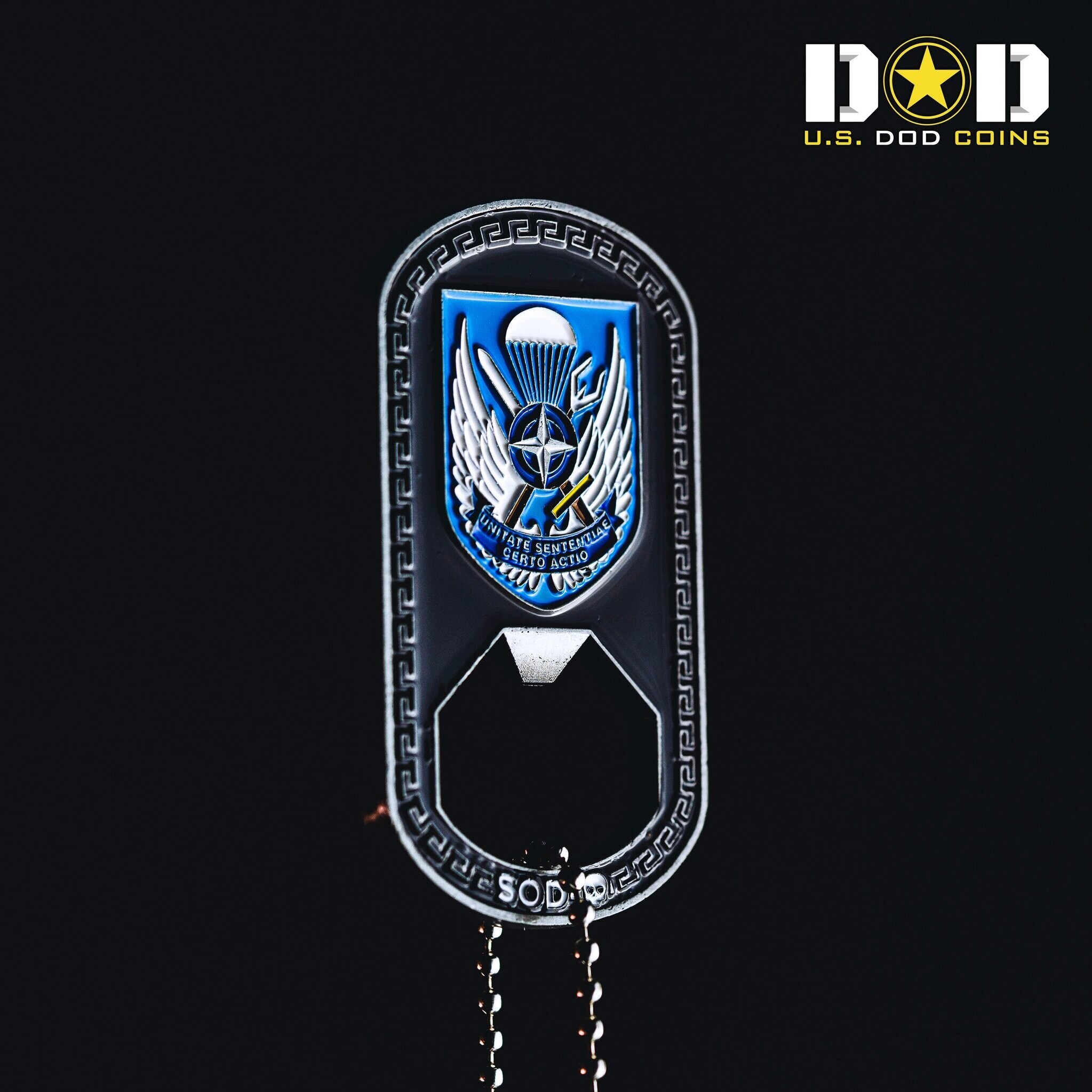 Custom challenge coin example