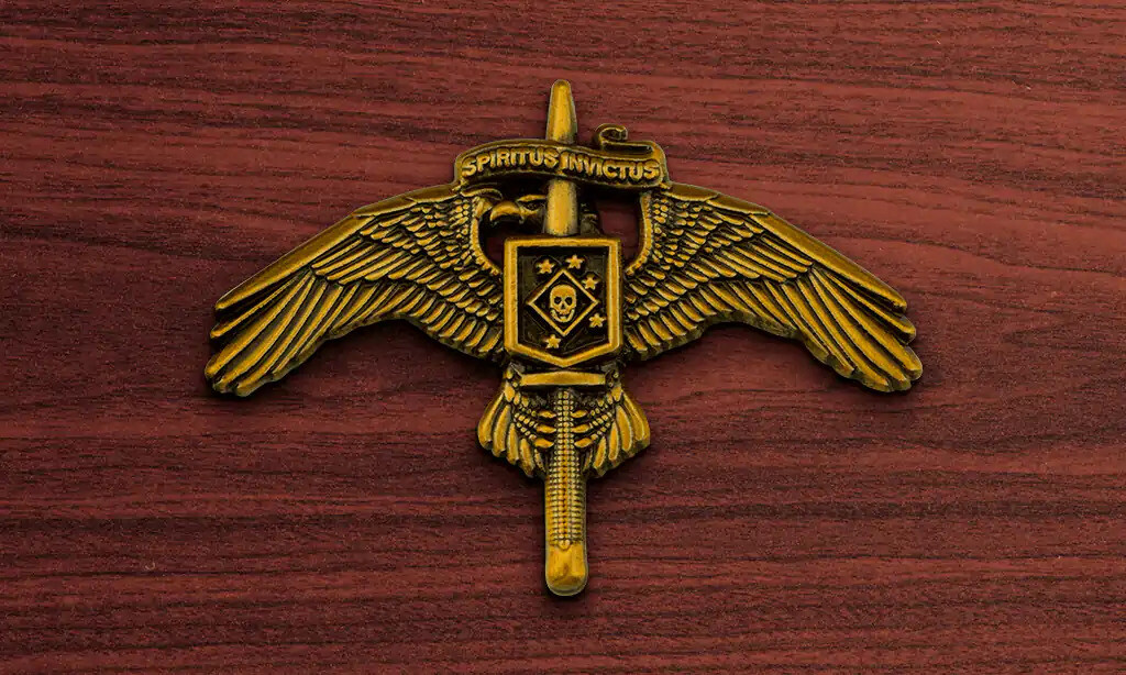 Custom challenge coin example